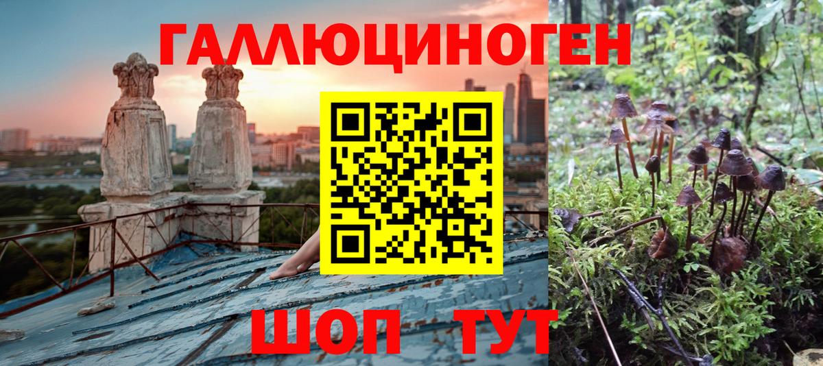 Новосибирск  Галлюциногенные грибы прущие грибы  Вход с VPN 