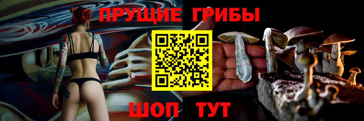 Псилоцибиновые грибы мухоморы Новосибирск